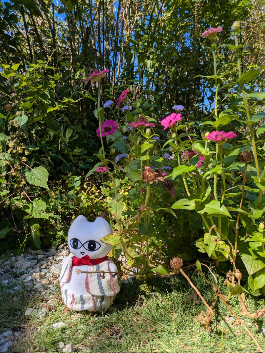 baraironokinu's tweet image. #のねりここ
#モネの庭