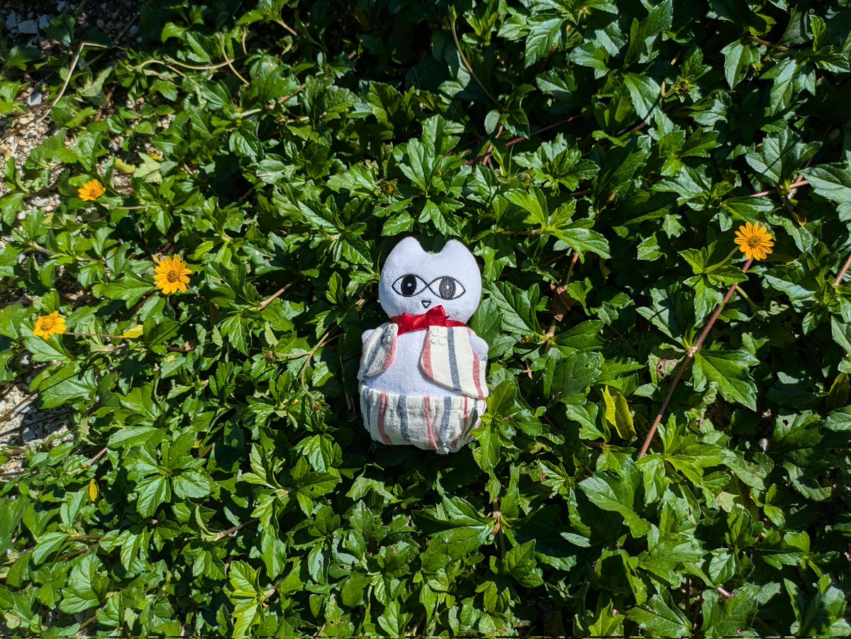 baraironokinu's tweet image. #のねりここ
#モネの庭