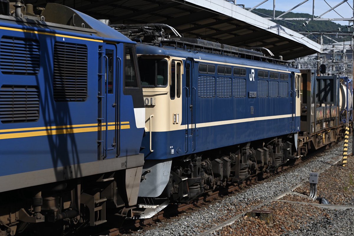 ライオン写真 FTG9UWyUUAAhn7v.jpg