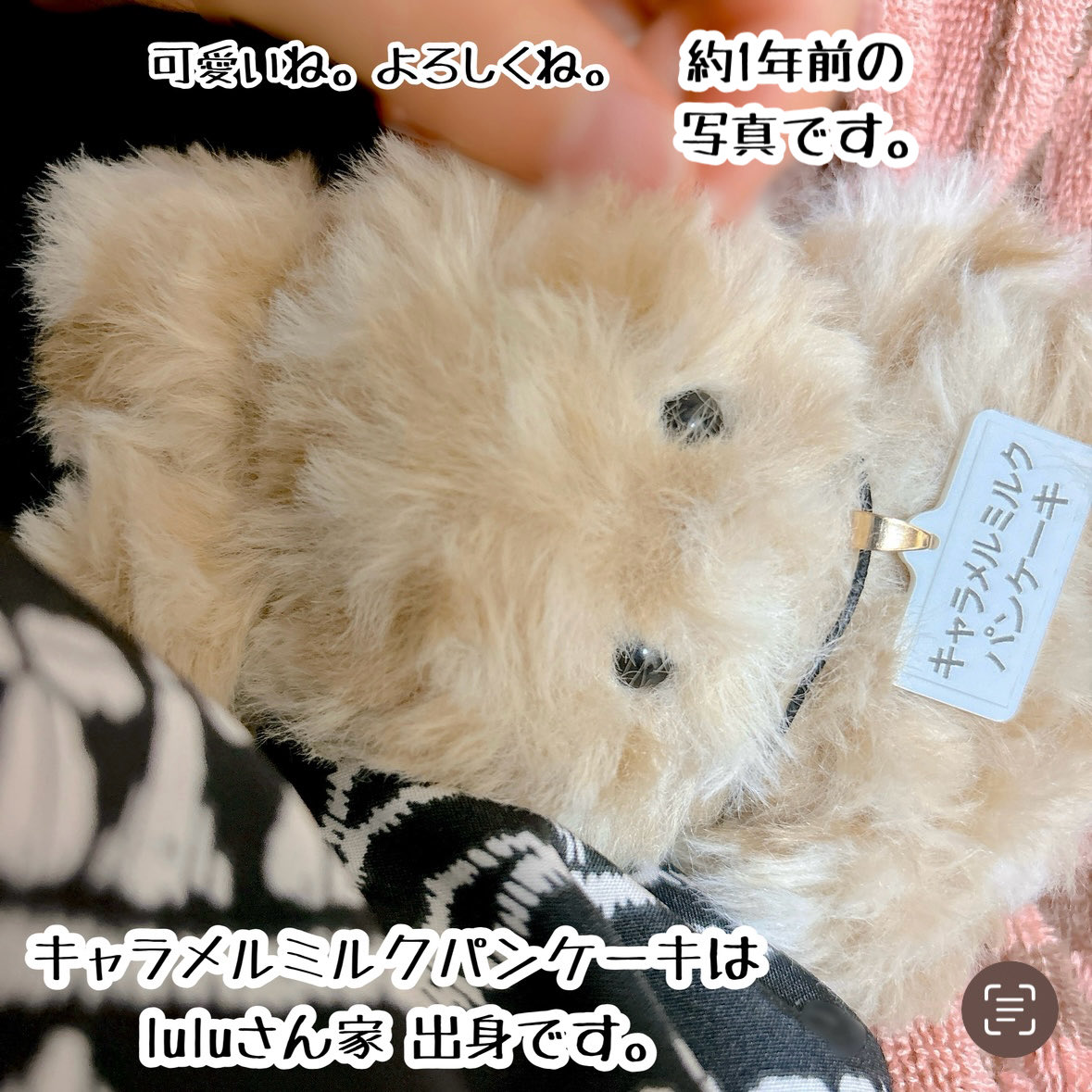 ♡蜜蜂うさぎちゃん♡ 蜜蜂(みつばち) on X