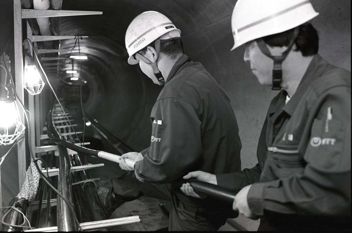 ／
今日10月29日は #インターネット誕生日 🖥️ 
＼

これは1969年10月29日アメリカで世界初のインターネット通信が行われた日に由来します✨
この日をきっかけに、私たちの暮らしは大きく変わりました🌟