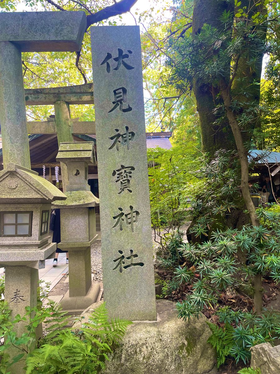 祠宮(並） Amazon｜仏壇屋 滝田商店 外宮 小型板宮造り(木印) 6寸(高さ49cm