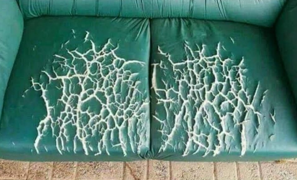 poser (@meme_posser) on Twitter photo 