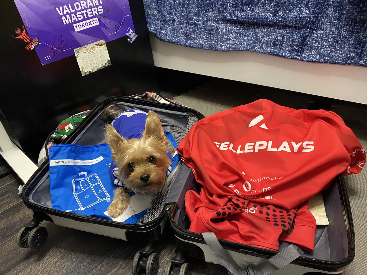 sellePLAYS's tweet image. What should I pack for Atlanta?

P.S. this lil’ woofy is already anxious just seeing the luggage 😅🥲

#DreamHack #Merciless #MERC
#Gaming #AVAX