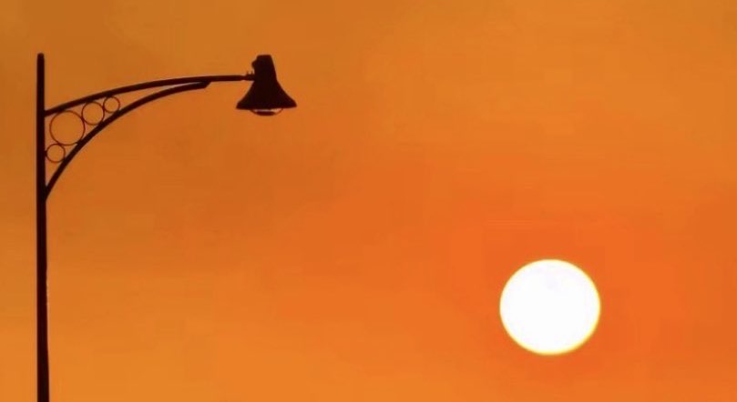 April 🌸 tweet media