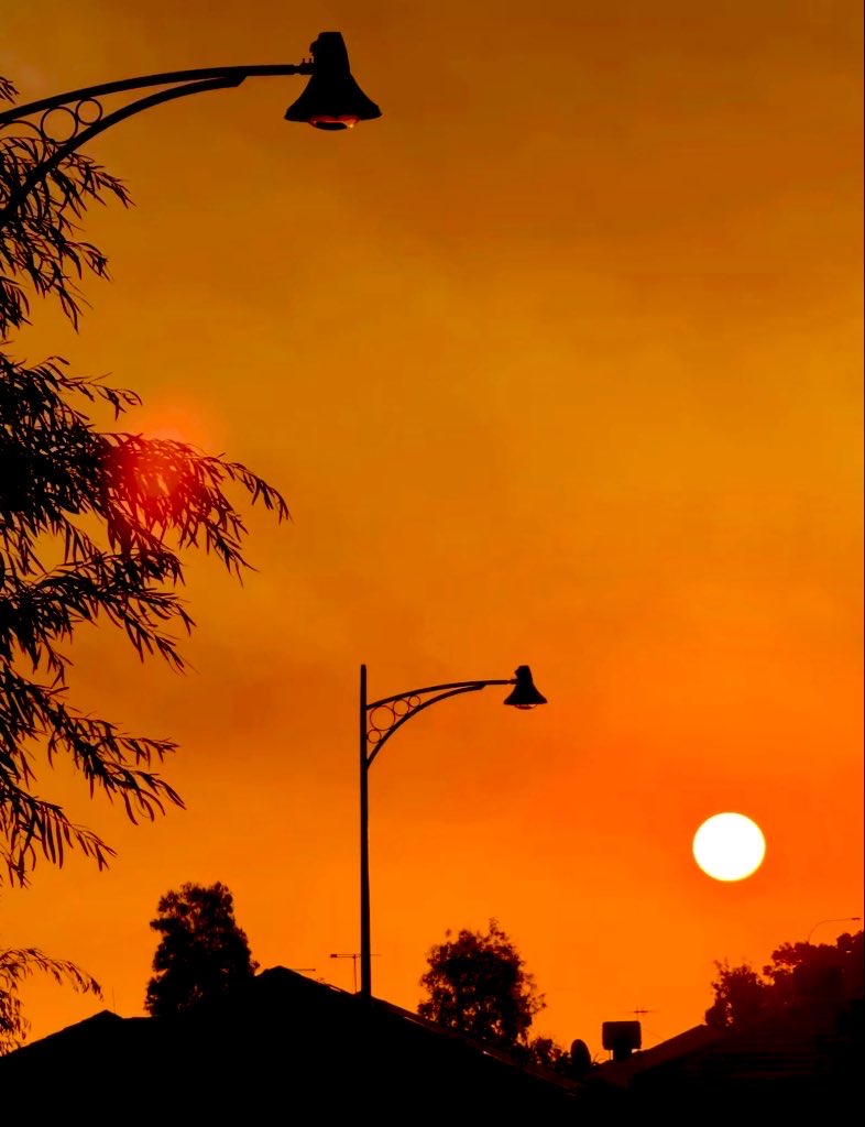 April 🌸 tweet media