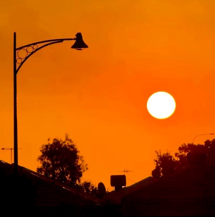 April 🌸 tweet media