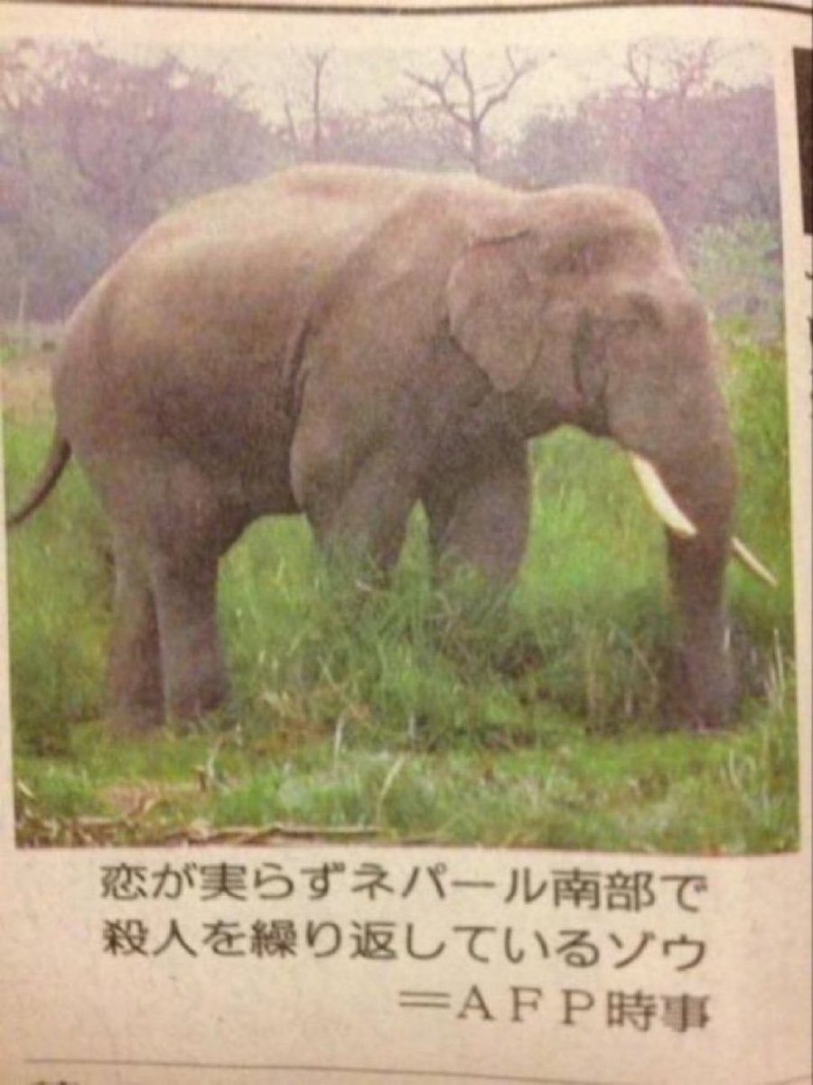 つまり、構造としてはツイッターの皆が好きなこれに近いんか…？