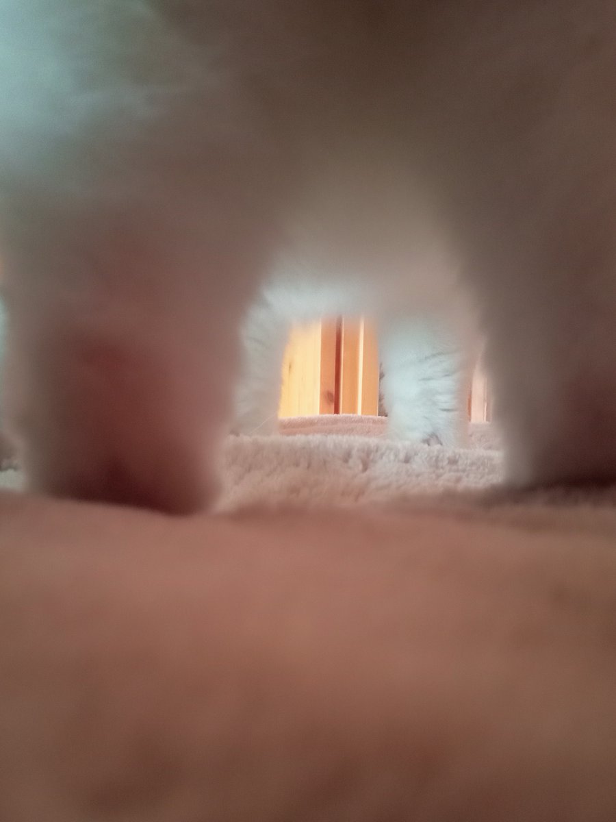 ずん…ずんっ！