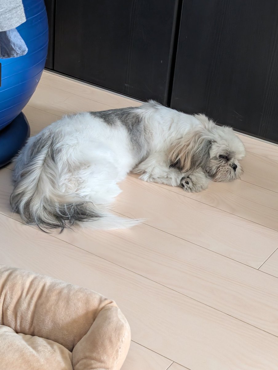 高橋・大腸15センチカット・敏也 (@Kaizoubaka) / Posts / X