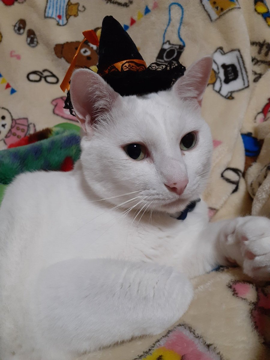 はるるん はるるん (@RNPrJ9xfX3PSoaA) / Posts / X