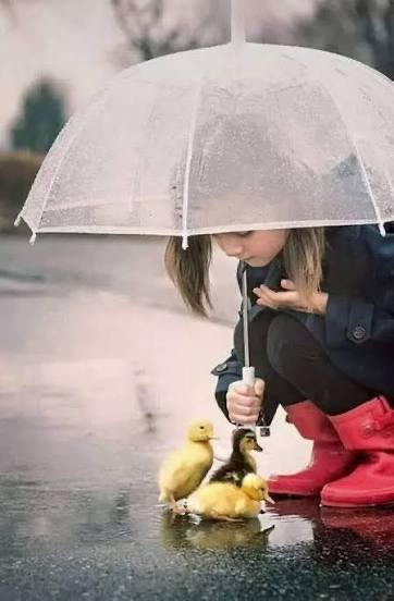 #صباحيات ☀️ 
#رسالة_اليوم ✍🏻
.
.

                    خلك مثل المظله… ☔️ 
     محد يستفيد منك غير اللي يحطك           
                             على راسه..👌🏻
.
.
#صباح_آلخيــــر 🕊️🌸🤍