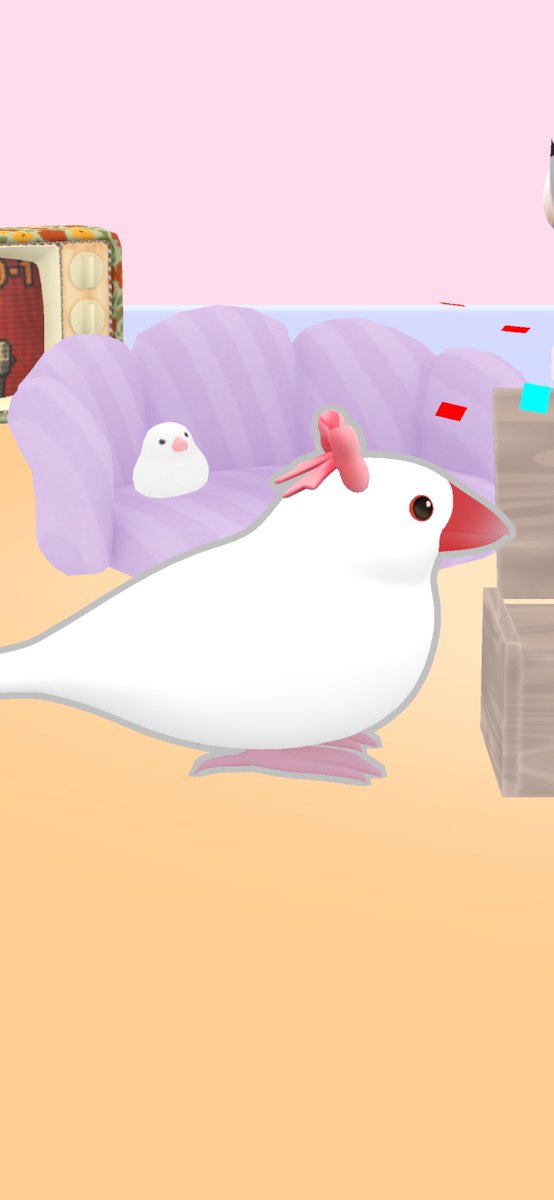 チーちゃん🐥 on X