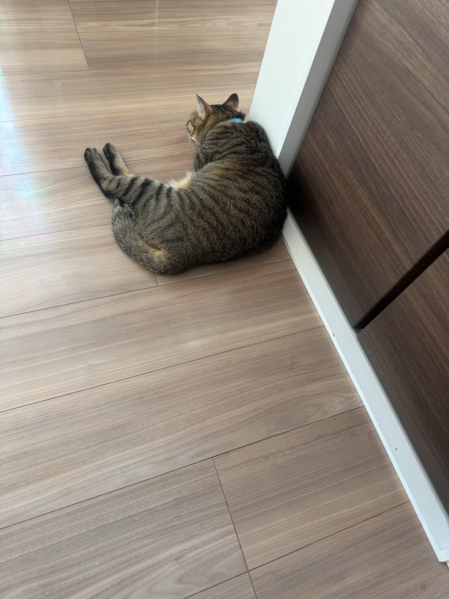 ✩.*˚確認用✩.*˚ nicho★さん専用ページ♡ ✮SUPERのぞみん😗 on X