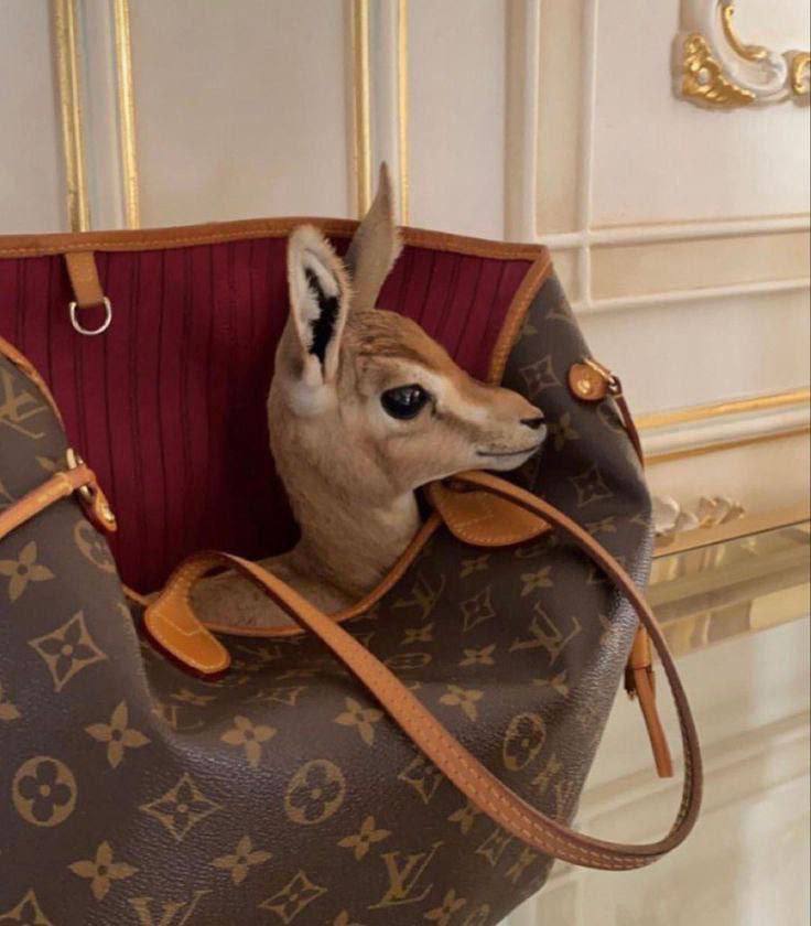 D_232D's tweet image. هـناك من يلفت العين  ، وهـناك من يلفت الروح