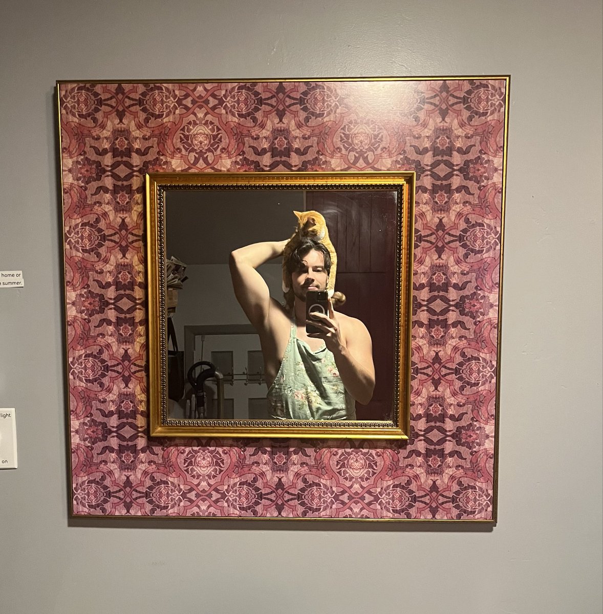 Day 14 of training my cat to be a ratatouille