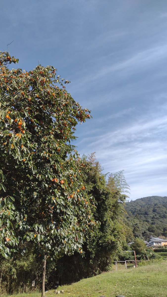 リトルミィ3号 (@littlemee0120) / Posts / X