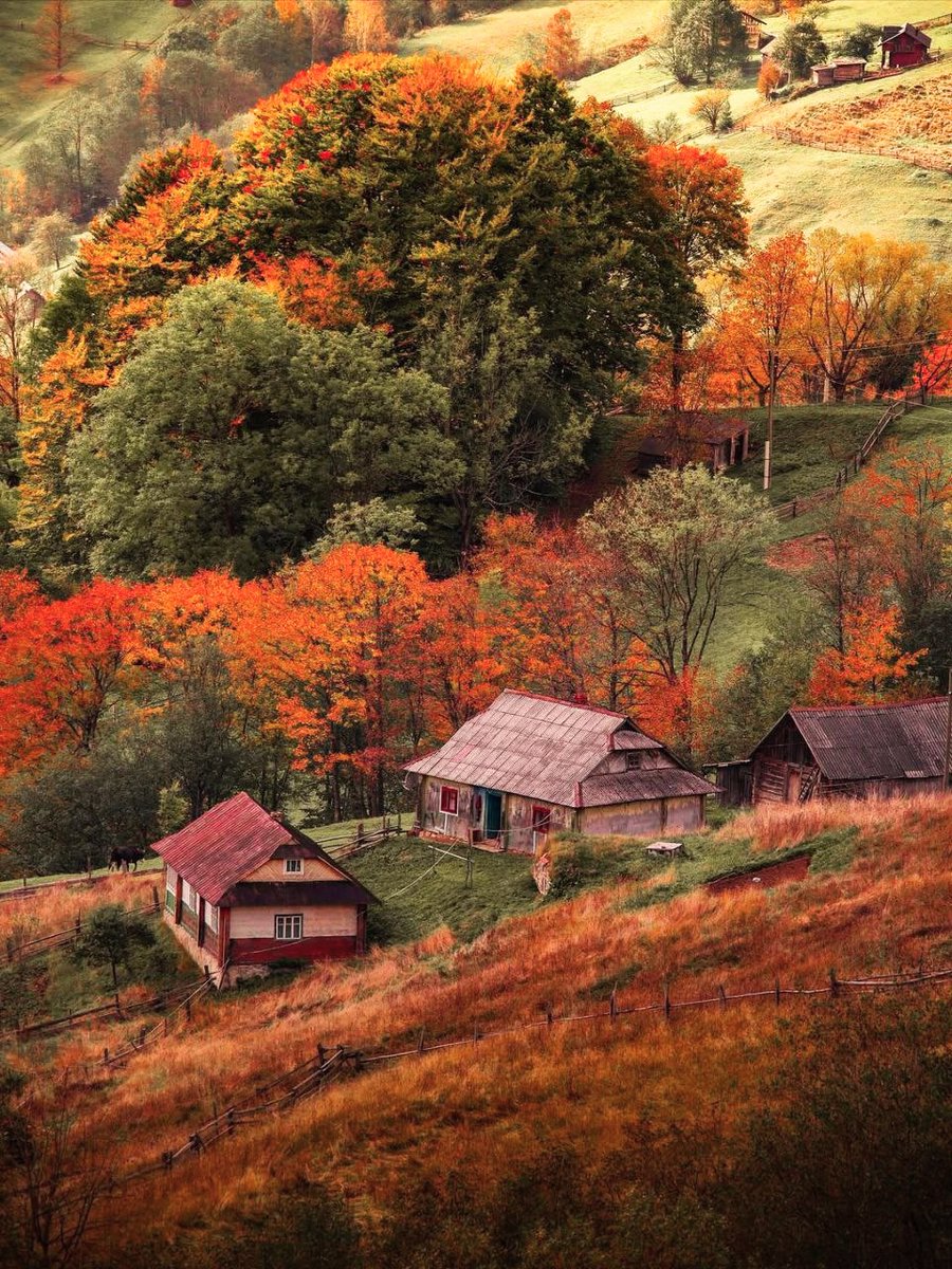 123 (@xetra_a) on Twitter photo 