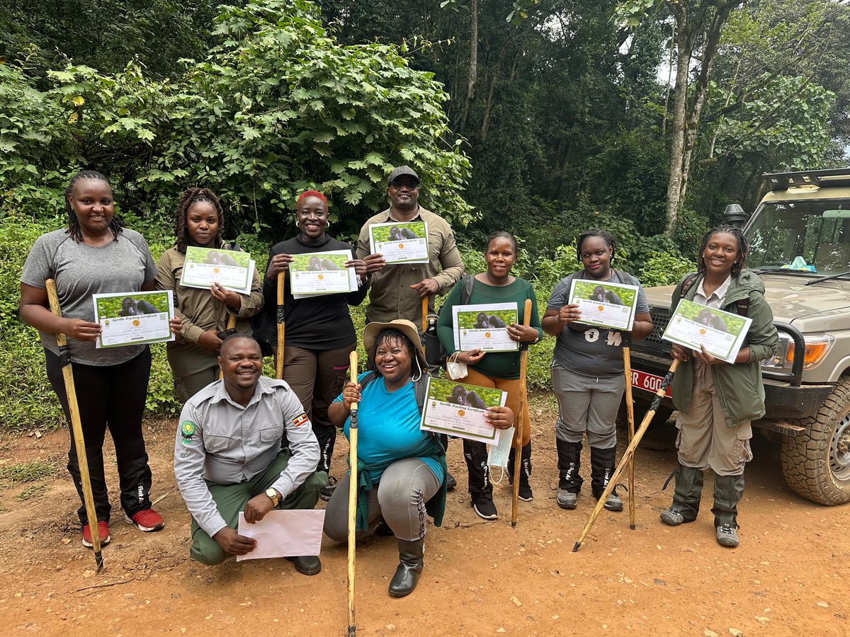 AerolinkUganda's tweet image. Officially Certified! 🦍
Congratulations to the amazing local agents, who just completed their gorilla trek! We were thrilled to host this special fam trip alongside @aksanctuary, guided by our Sales Manager, Rajah Njeri.
#AeroLink #AbercrombieAndKent #FamTrip #GorillaTrekking