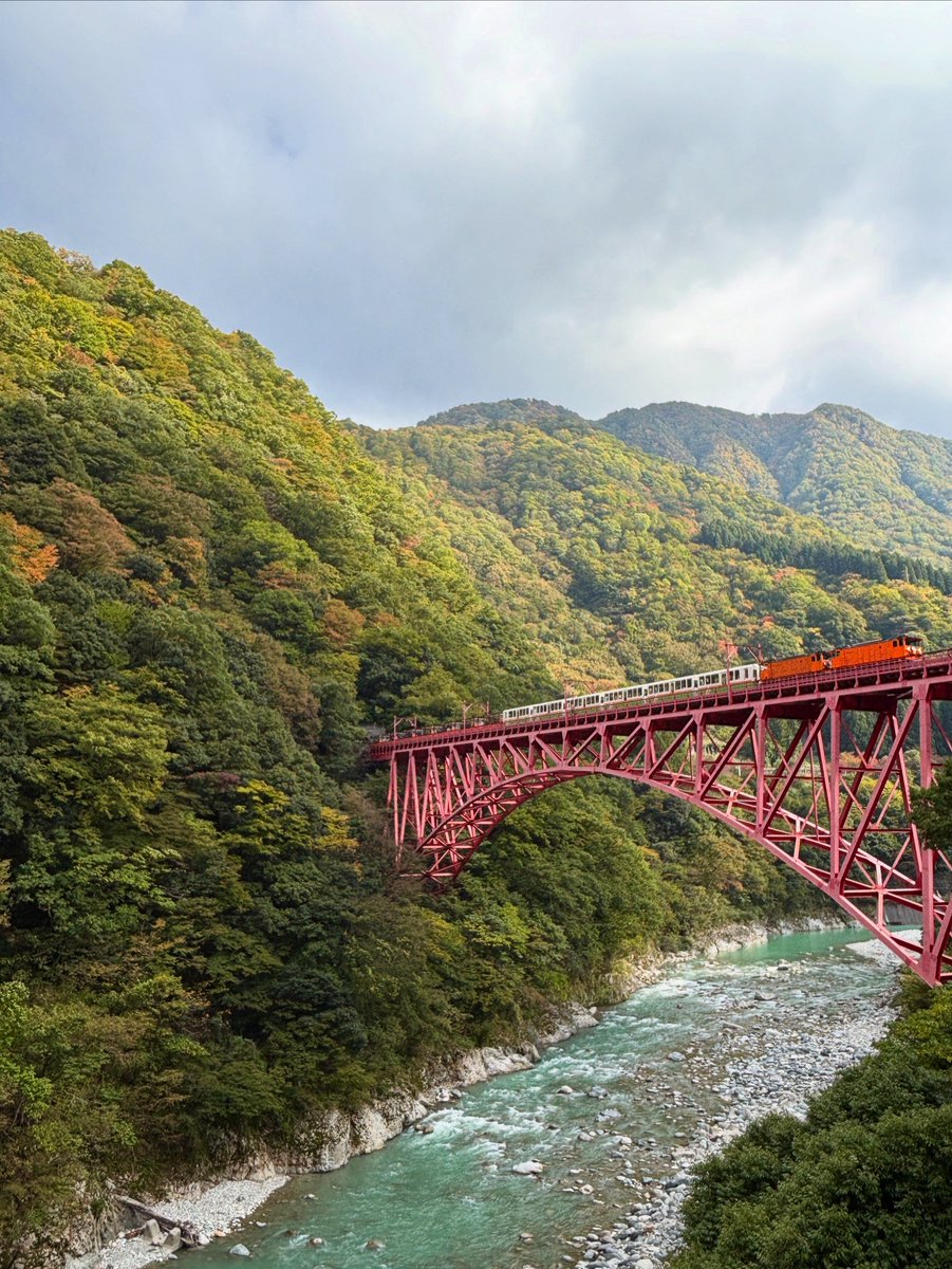 torokkodensya's tweet image. 黒部峡谷沿線では山々の山頂付近より紅葉🍁の色付きが増してきており、美しい自然美をお楽しみいただけま〜す😃🎶

#黒部峡谷トロッコ電車