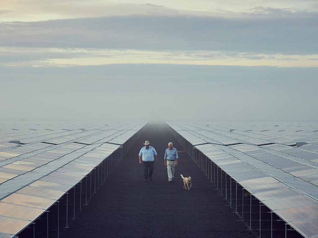 NSW Farmers says legal protections for farmers hosting renewables are a logical next step following the release of a new framework for decommissioning wind and solar projects. 👇
bit.ly/49mFbJq