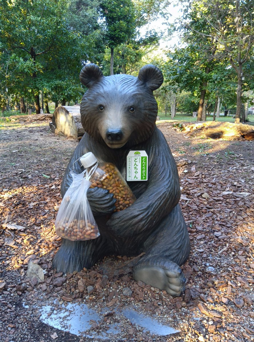 ふしぎラボ in どんぐりの森」を11月9日（日）まで開催！親子で