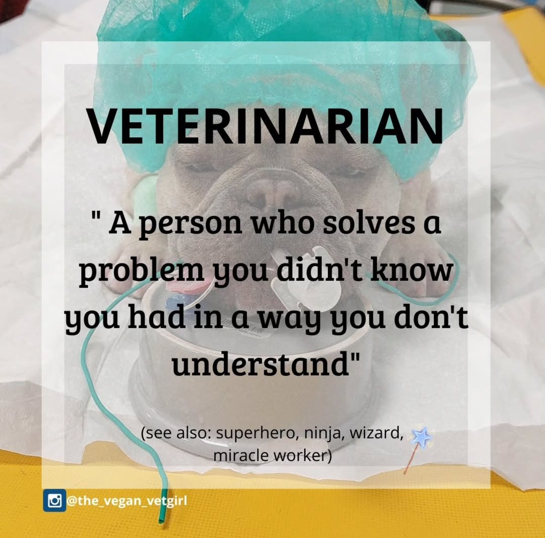 Vet Knowledge Pedia (@thevetknowledge) on Twitter photo 