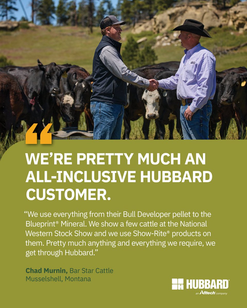 🐂“It’s the most bang we can get for our buck.” From the Bull Mountains of Montana, Bar Star Cattle trusts Hubbard products across every part of their operation.

➡️See how Blueprint, Show-Rite &amp; Hubbard help Bar Star achieve consistent, long-term results: bit.ly/BarStarCattleT…