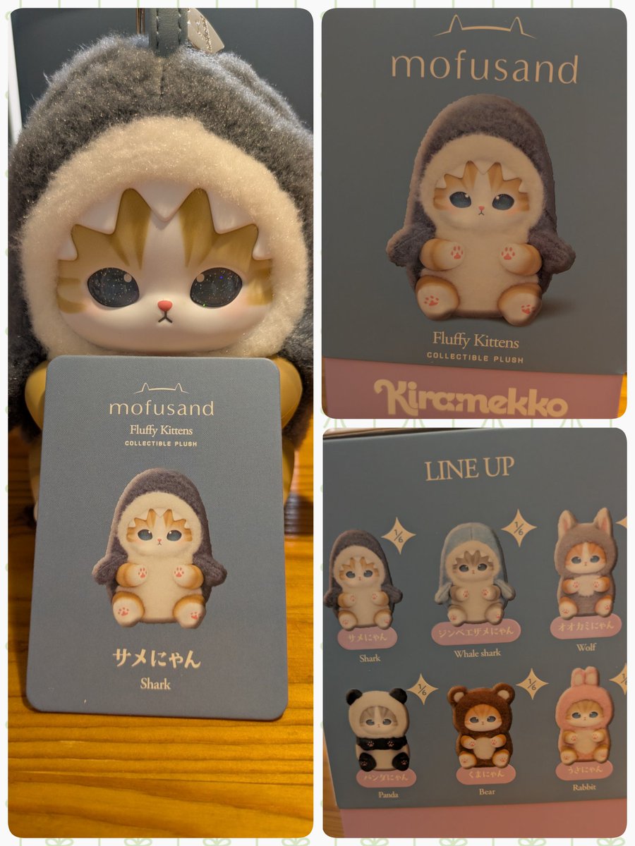 mofuko (@mofuko0830) / Posts / X