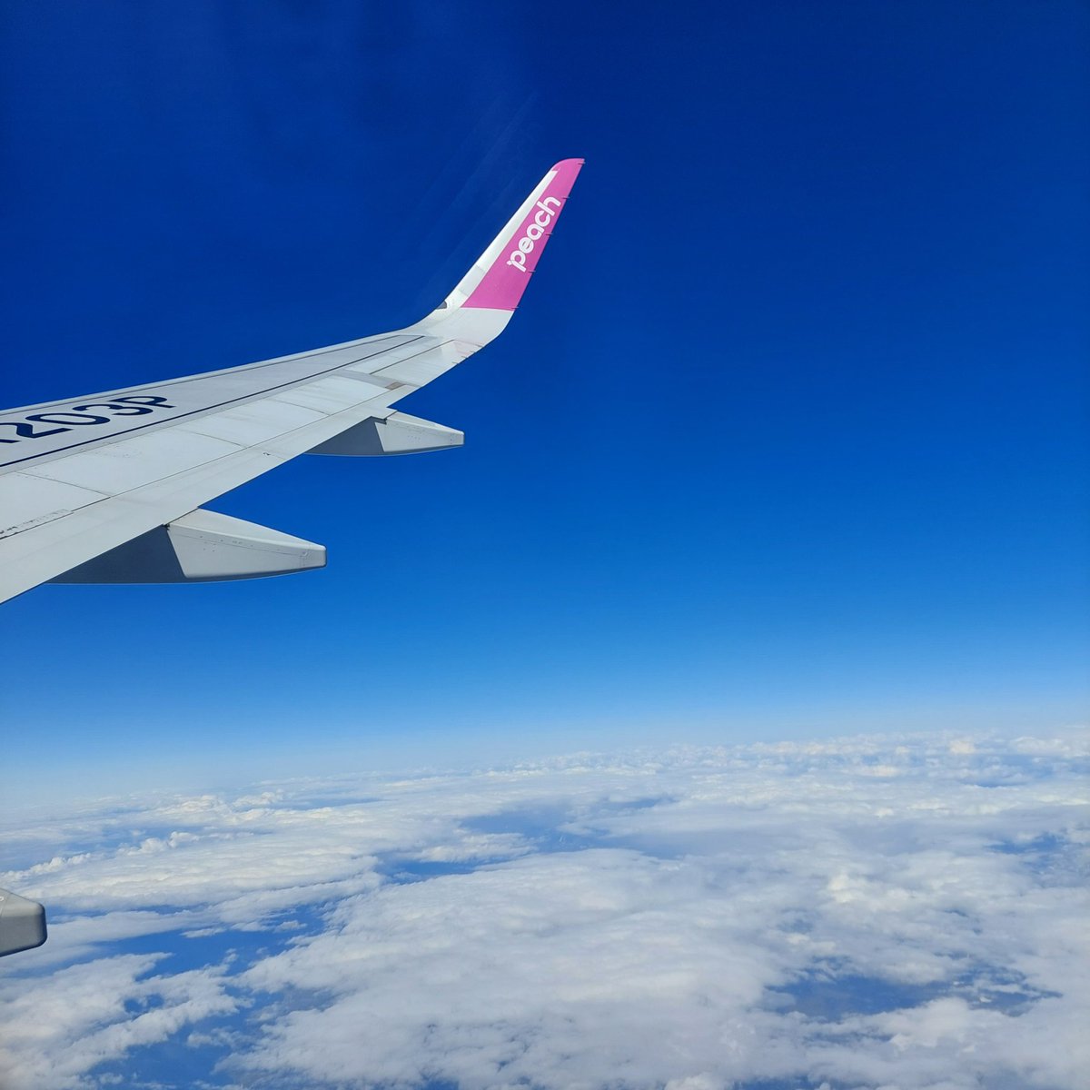 ピーチページ♡⃜ Gtr811CaQAA-YzI.jpg?format=jpg