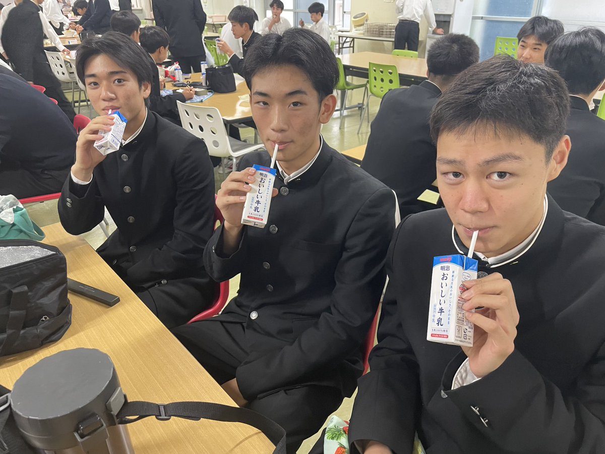 明治おいしい牛乳 超巨大 クッション 明治おいしい牛乳 超巨大