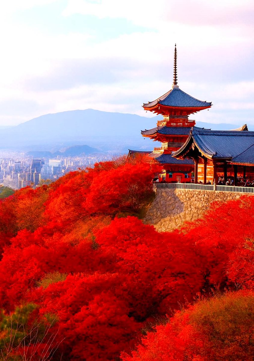 Good day
Thank God

Stunningly beautiful 🇯🇵