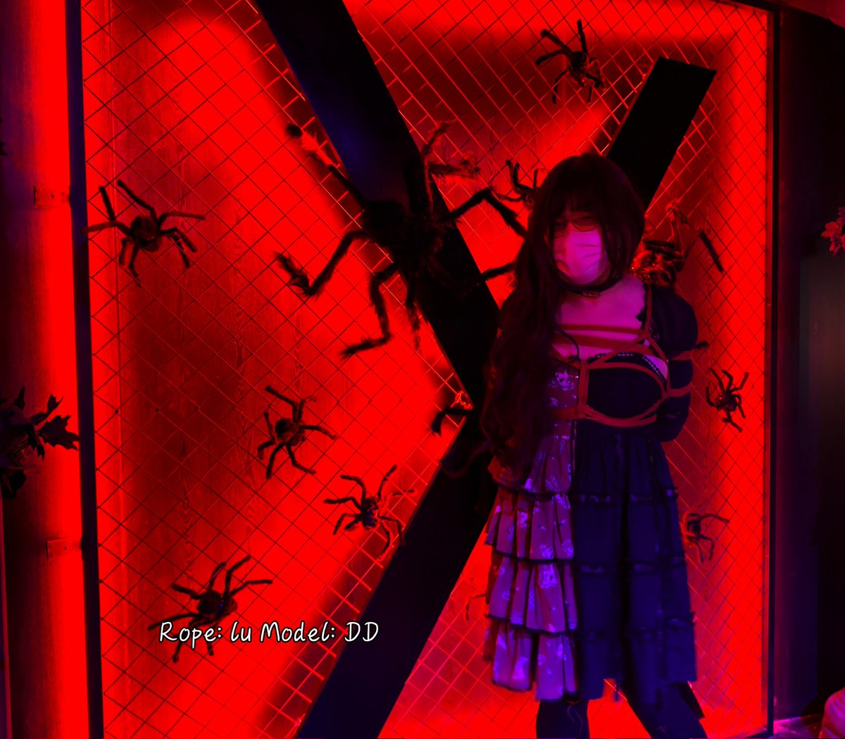 Diamond Dog tweet media