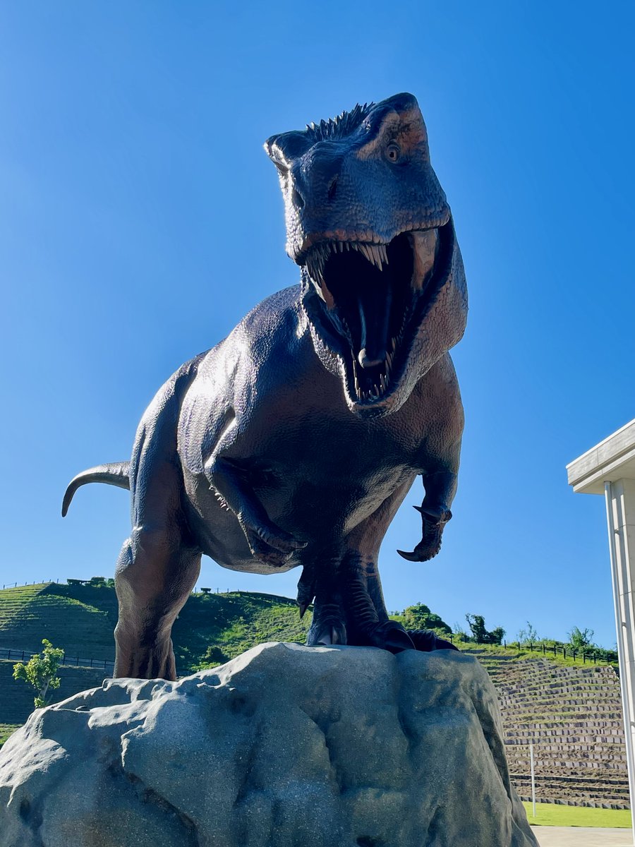 🎉【恐竜博物館 4周年！】

本日10月29日、べネックス恐竜博物館（長崎市恐竜博物館）は
おかげさまで開館4周年を迎えました🦕✨

これまでご来館・応援いただいた皆さま、本当にありがとうございます！

ただいま館内では、4周年を記念したイベントを開催中🎁
ぜひ恐竜たちに会いに来てくださいね☺️