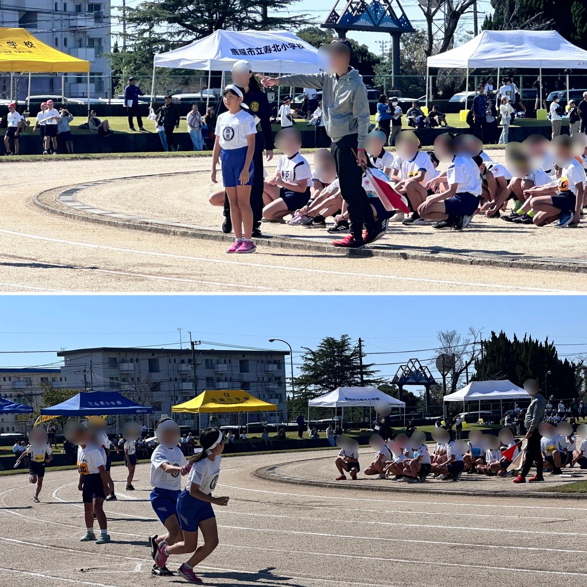 福島べこ〜ず まめべここれくしょん ぱーと1 コンプリート 計14点 福島べこ〜ず まめべここれくしょん ぱーと1 コンプリート 計