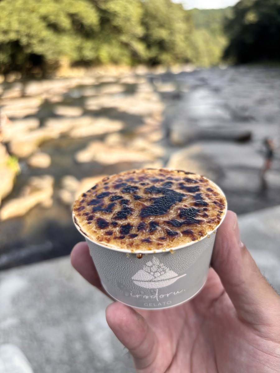 KJ0814_ame5656's tweet photo. ハイブリ百貨店、ありがとうございます😊
クリームブリュレ、今食べた〜い
今限定のパンプキンや洋梨ショコラも美味いっすよ〜

 #ハイブリ
#イロドル
#irodoru https://t.co/HnIomsUD2l