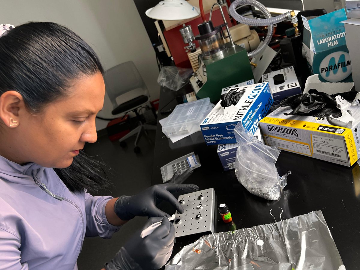 Aparna Banerjee tweet media