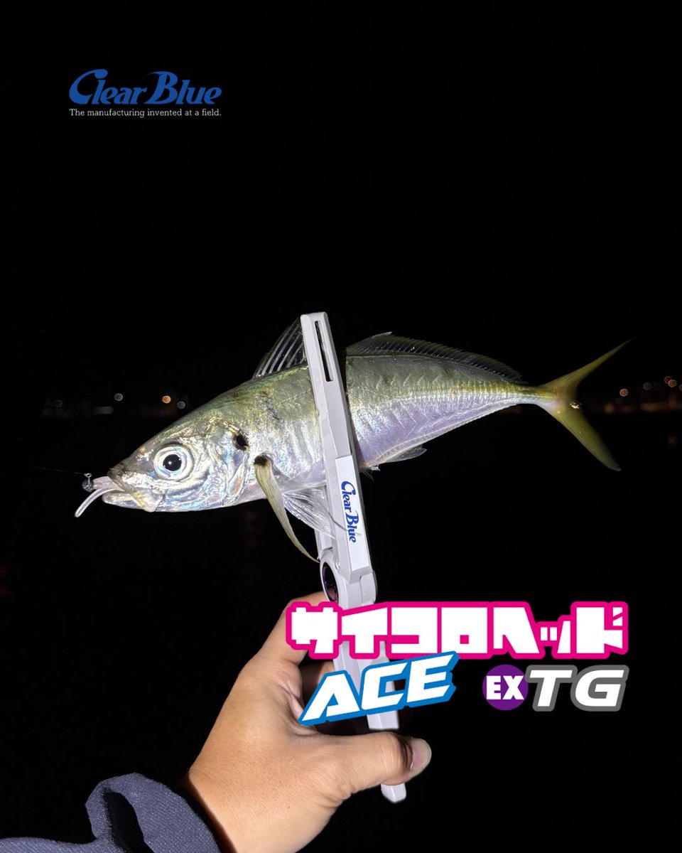 本岡利將@アジング/クリアブルー on X