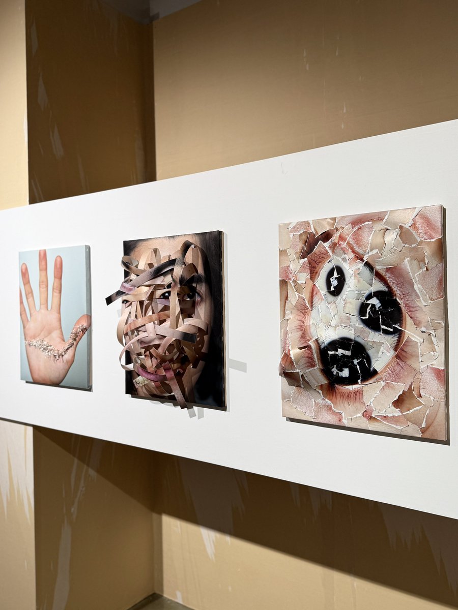 ナガサワケンタ on X