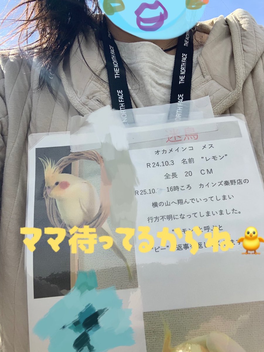 文鳥百貨店 (@kanakotori0501) / Posts / X