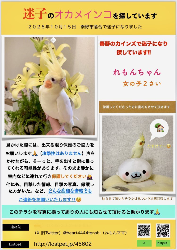 文鳥百貨店 (@kanakotori0501) / Posts / X