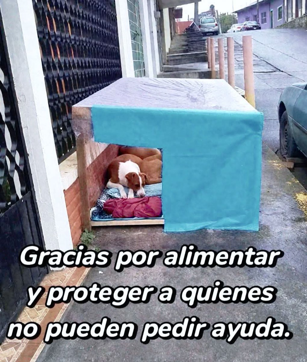 Sabueson (@sabueson) on Twitter photo 