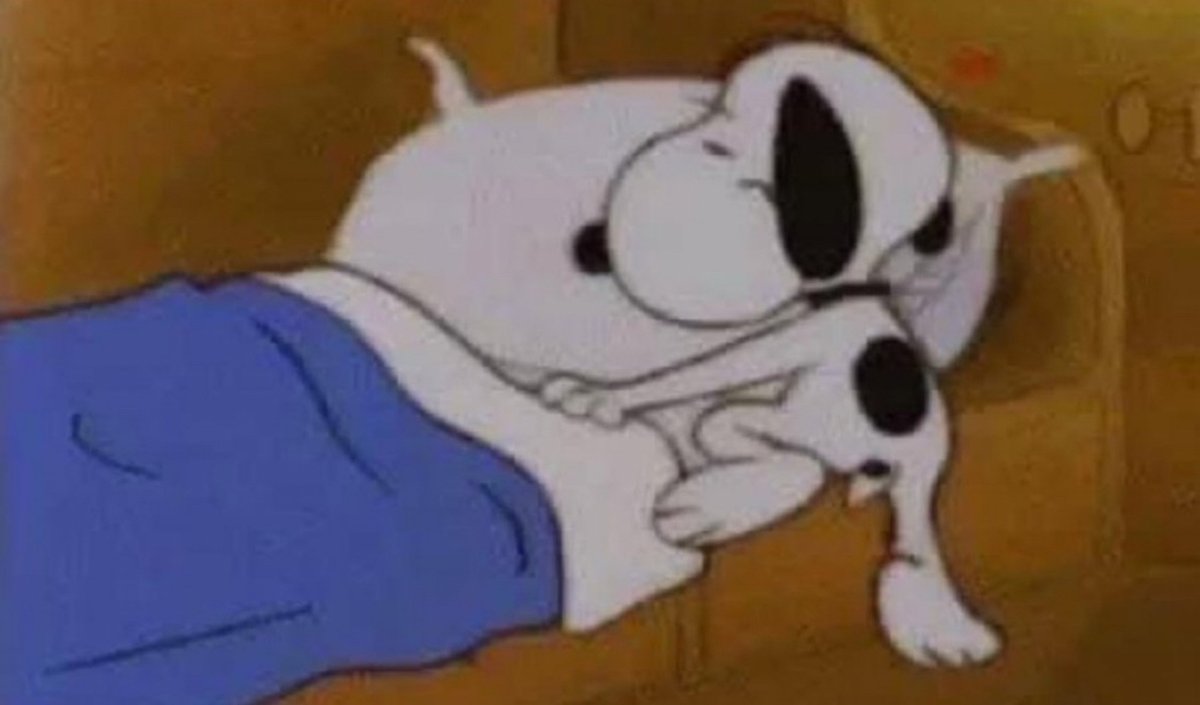 Guarromantico_'s tweet image. Yo resolviendo mis problemas: