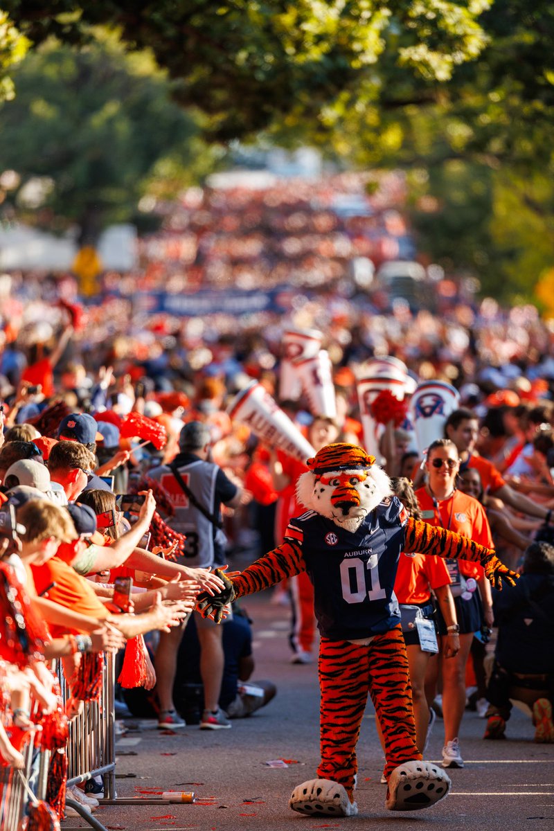 David Gray tweet media