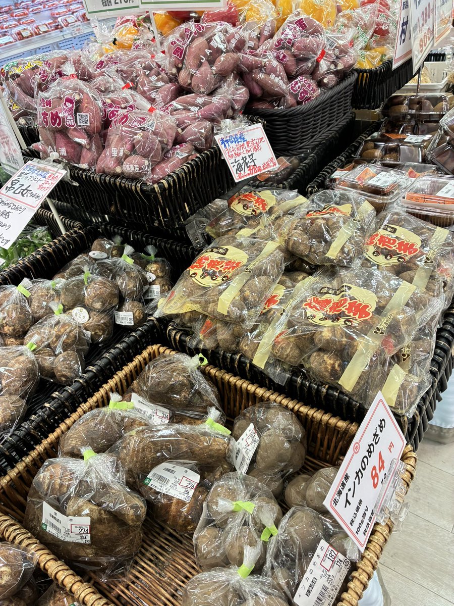 本日のおすすめ野菜いろいろ