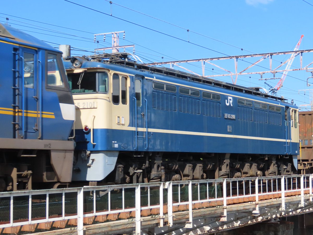 【nalu】速達 がまかつ】 がま船 鬼攻カワハギ トーナメントグレード 175