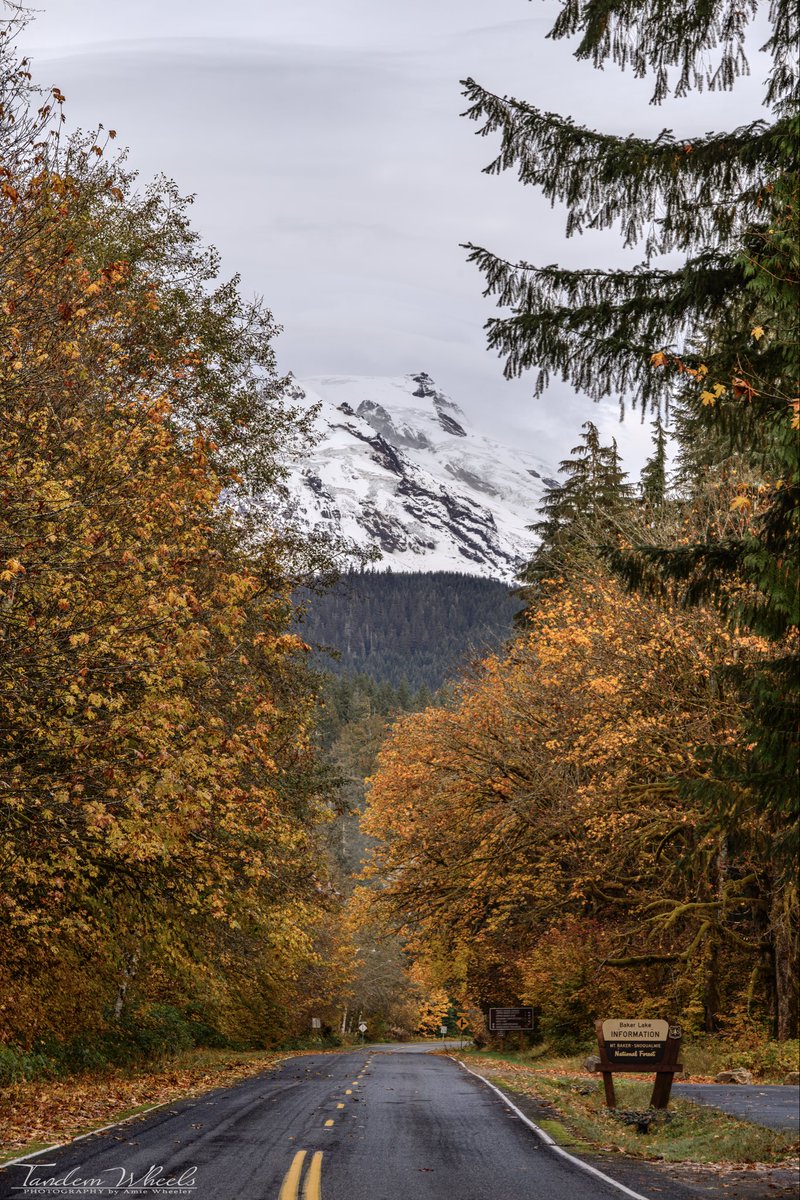 MimiRitZ244's tweet image. Fall colors and beautiful drives up to Baker Lake 🍁🍂🎃

#pnw #fallcolors #autumnleaves #autumn #sonorthwest #daytrip #photography #fall2025