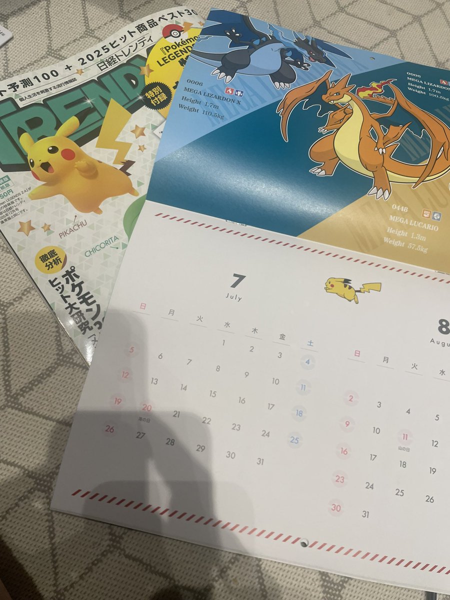 さぼてんさま確認ページ♡ 𝗘 𝗰 𝗵 𝗶 𝗱 𝗻 𝗮 on X