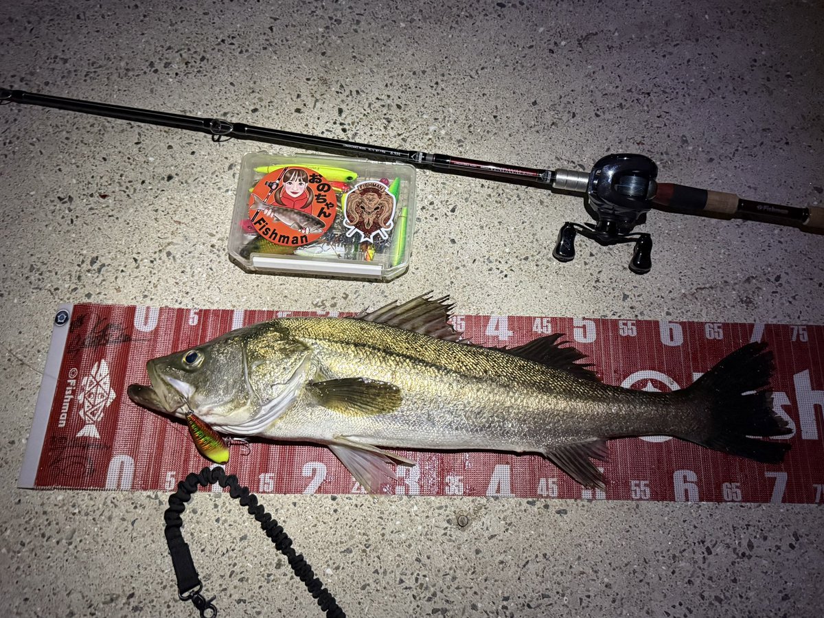 ☆本日終了　和竿　⑧ へち竿