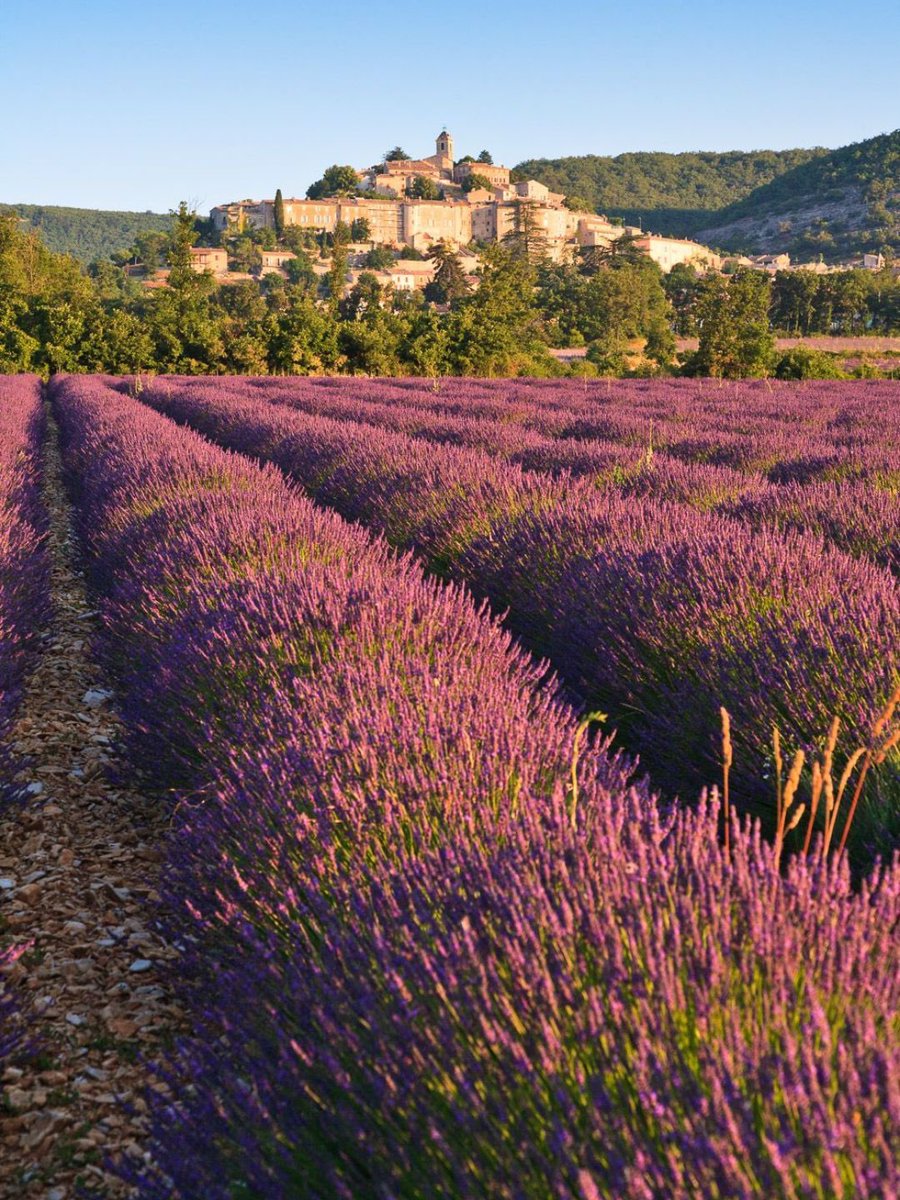 Provence, France 🇫🇷